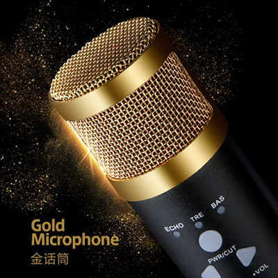 蔡琴金話筒盒裝設(shè)計