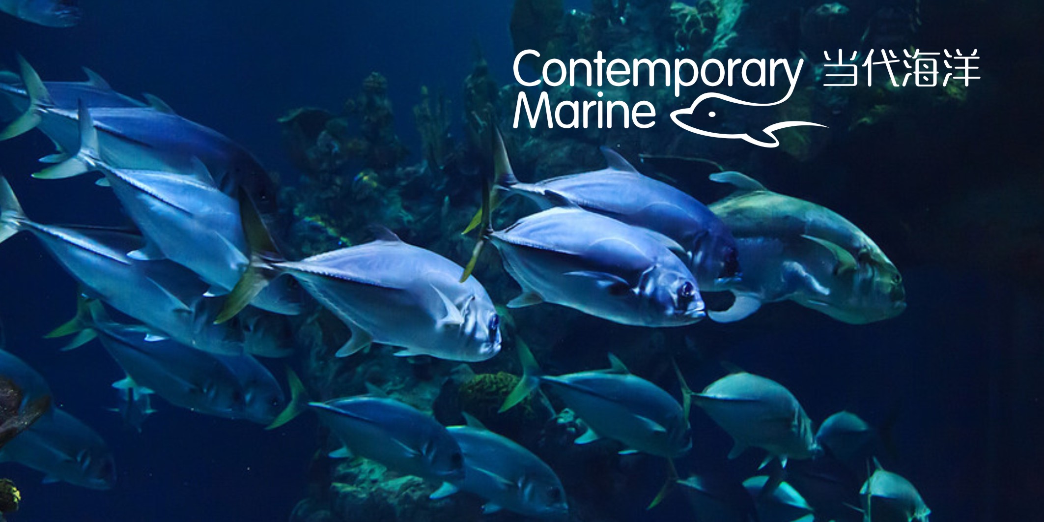 7天完成品牌升級！微型VI設計全流程解析